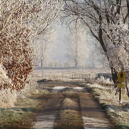 Landhotel Lowenbruch 호텔 3*