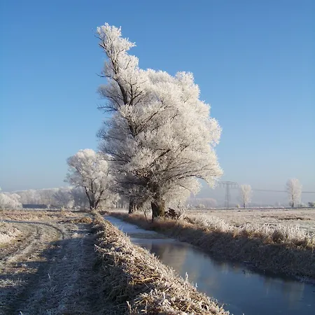 호텔 Landhotel Lowenbruch 3*