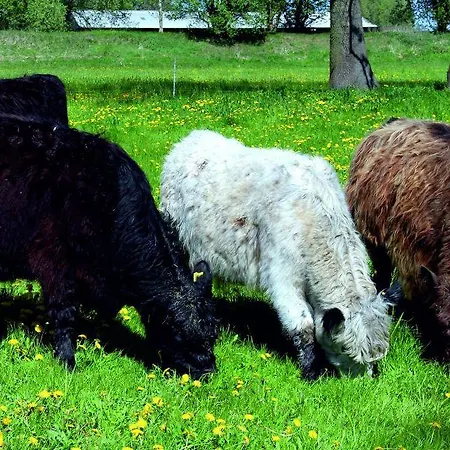 Landhotel Lowenbruch 호텔