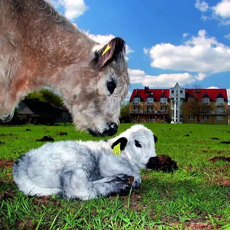 Landhotel Lowenbruch 로벤브루흐