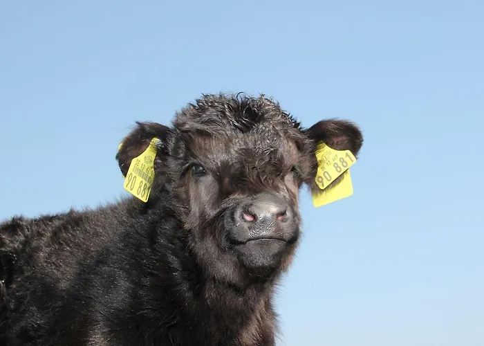 Hotell Landhotel Lowenbruch 3*