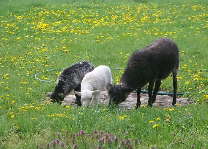 Landhotel Lowenbruch Hotell