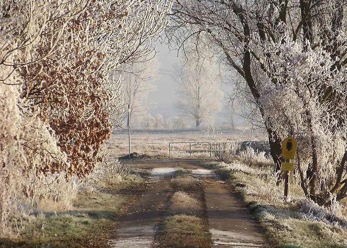 Landhotel Lowenbruch Hotell 3*