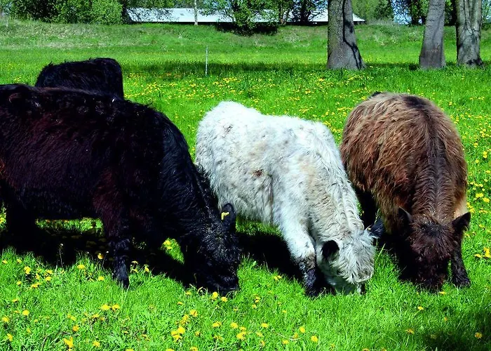 Landhotel Lowenbruch Hotell