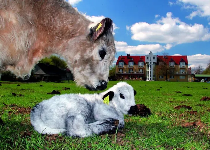 Landhotel Lowenbruch Löwenbruch