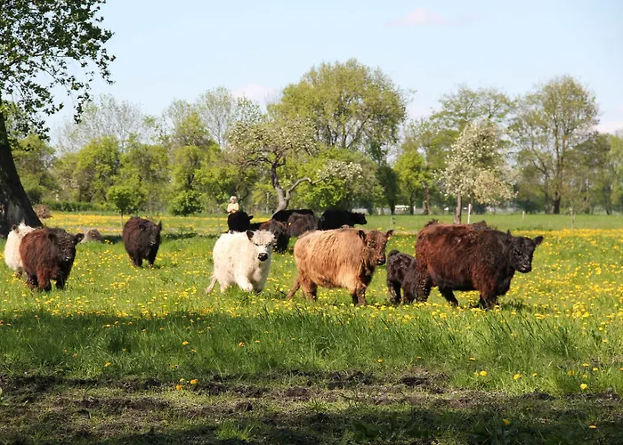 Landhotel Lowenbruch Hotell Löwenbruch